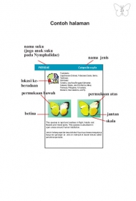 contoh isi buku KupuKRB 22